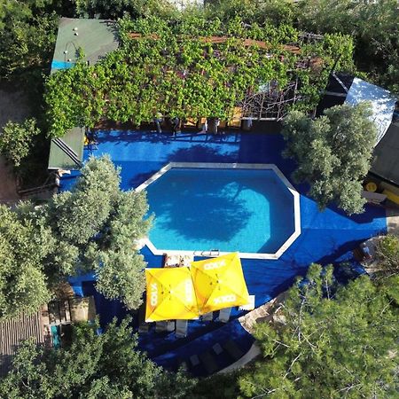 Shiva Camp Hotell Faralya Eksteriør bilde